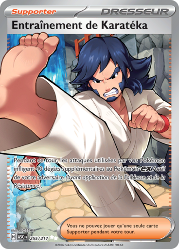 Carte Pokémon Entraînement de Karatéka 255/217 - Héros Transcendants - Manga Cash Ans (Liège)