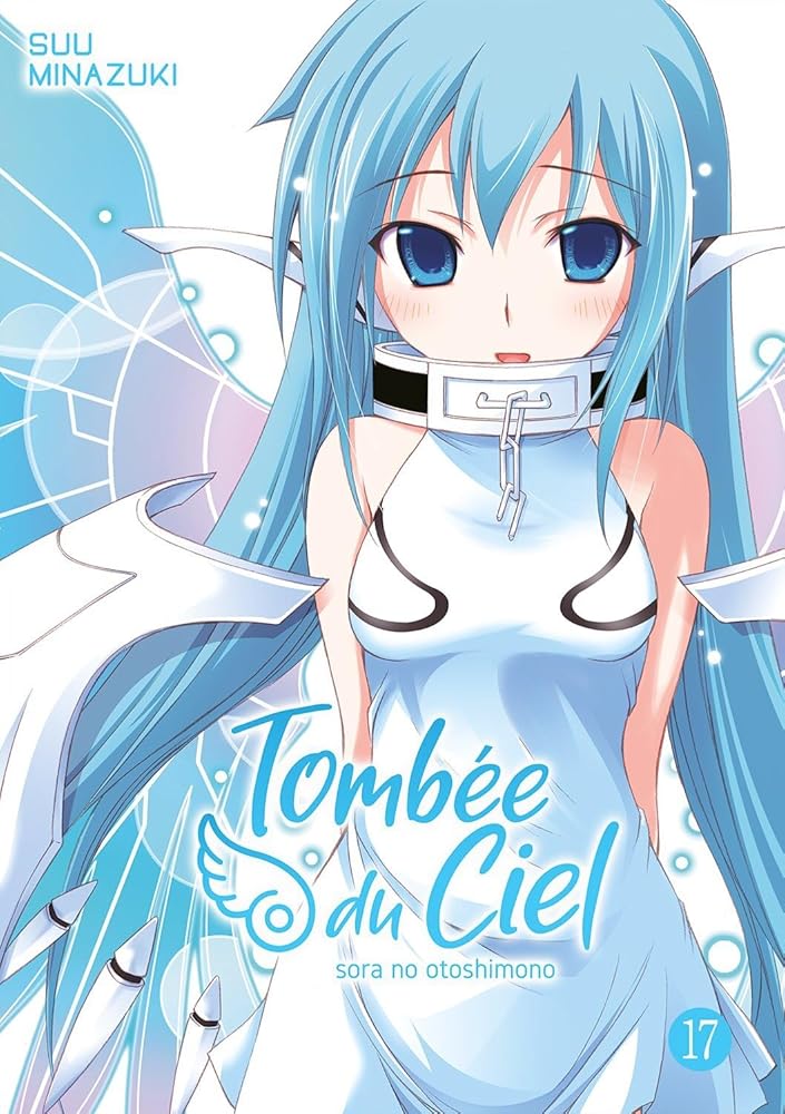 Tombée du Ciel - Tome 17 cover image