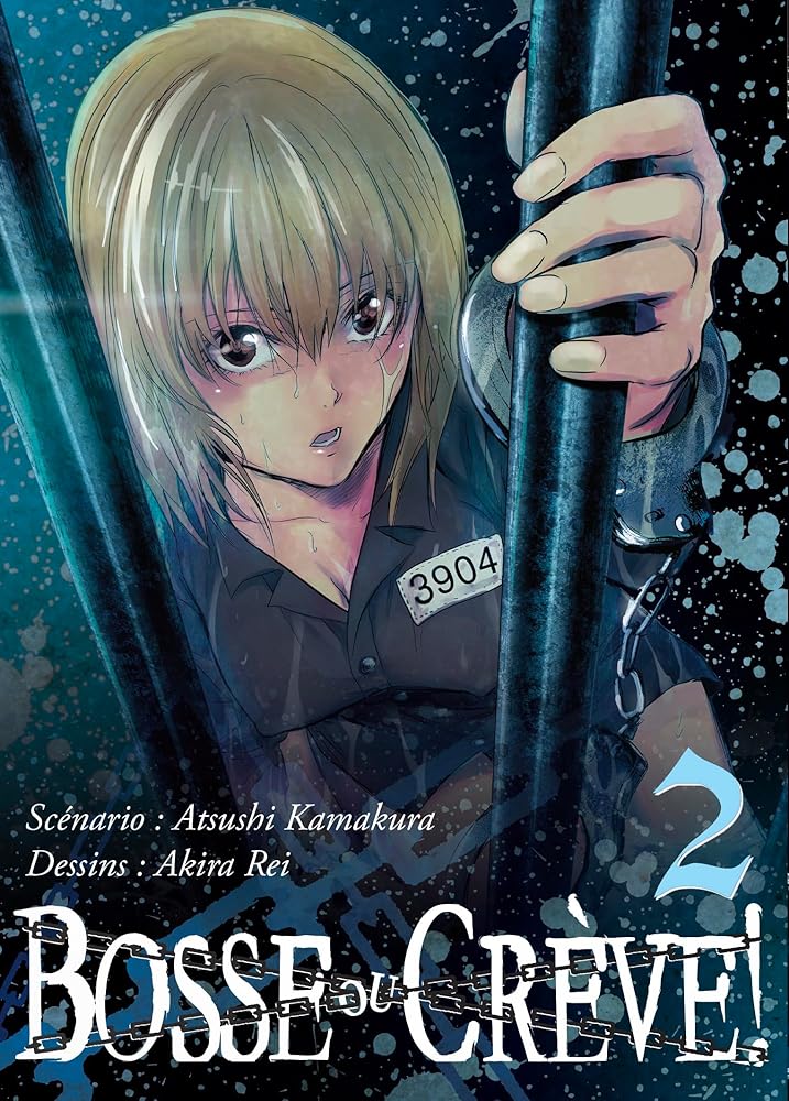 Bosse ou crève ! T02 cover image