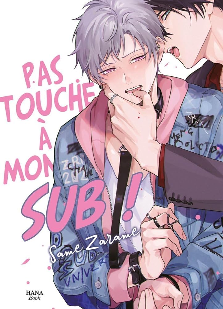 Touche pas a mon SUB ! cover image