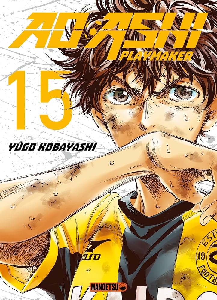 AO ASHI T15 cover image