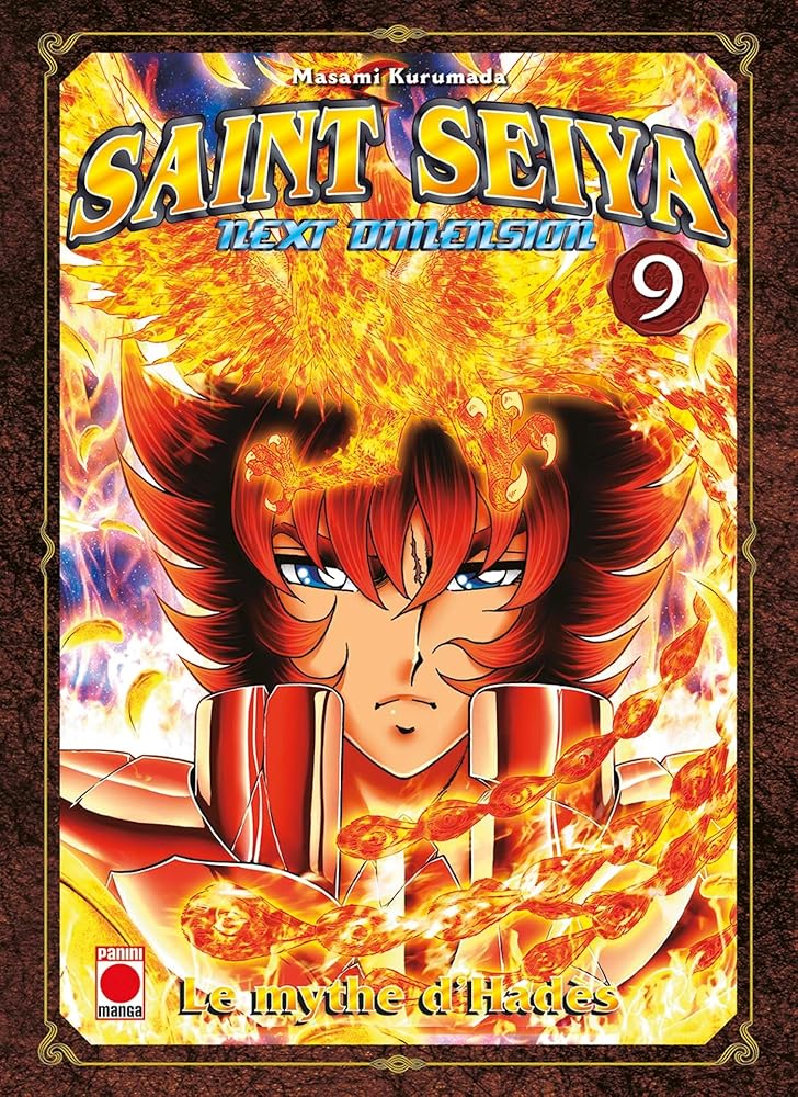SAINT SEIYA NEXT DIMENSION T09 cover image