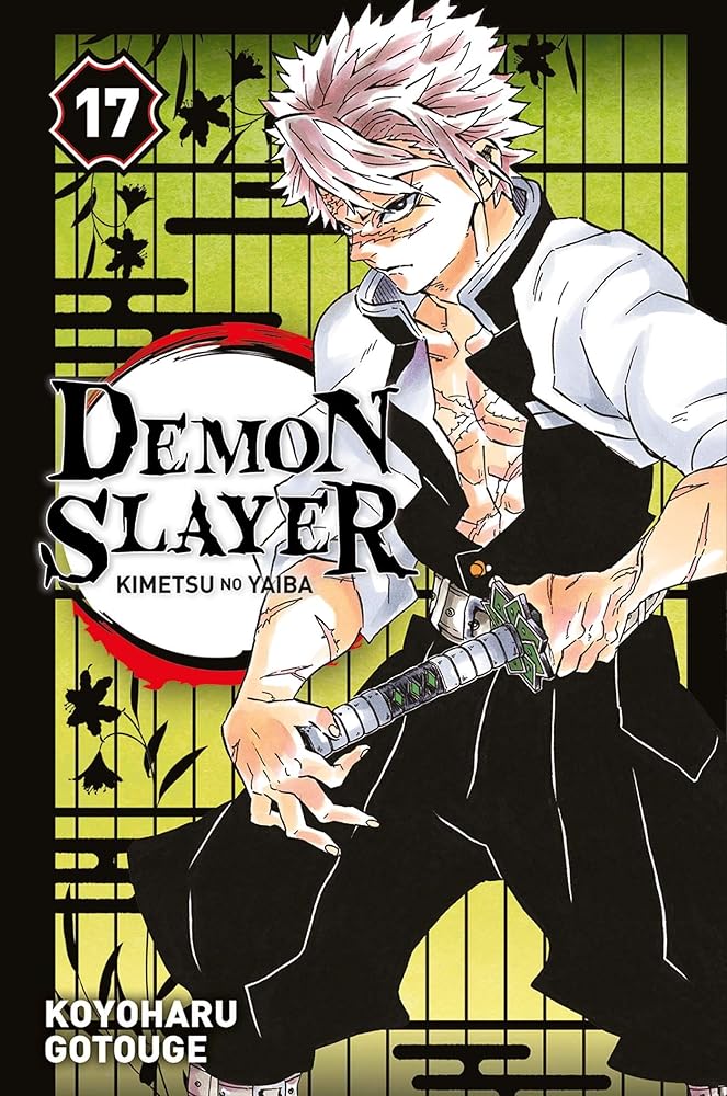 Demon Slayer T17 cover image