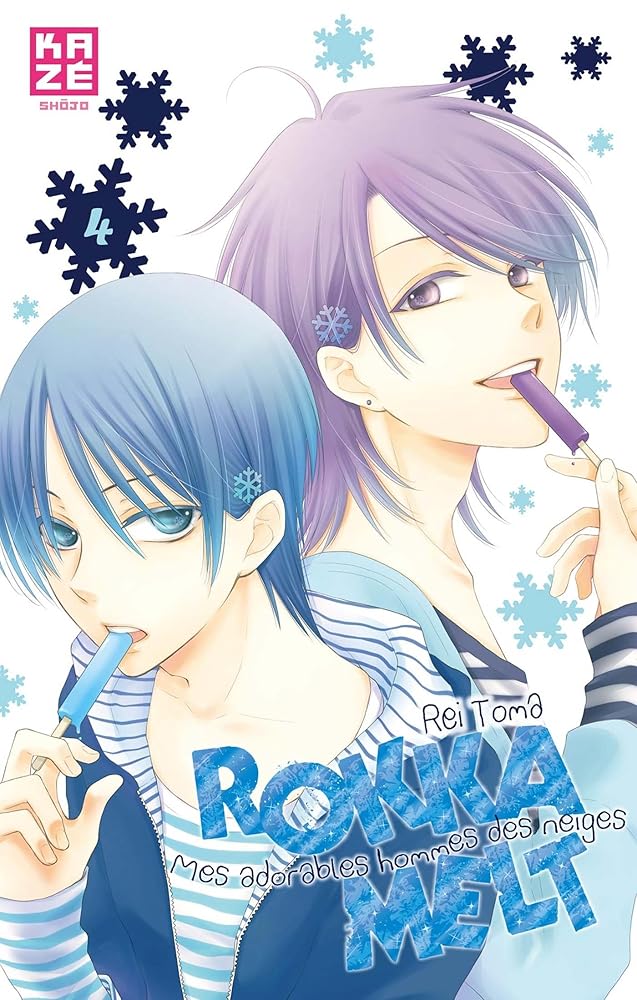 Rokka Melt T04 (Fin) cover image