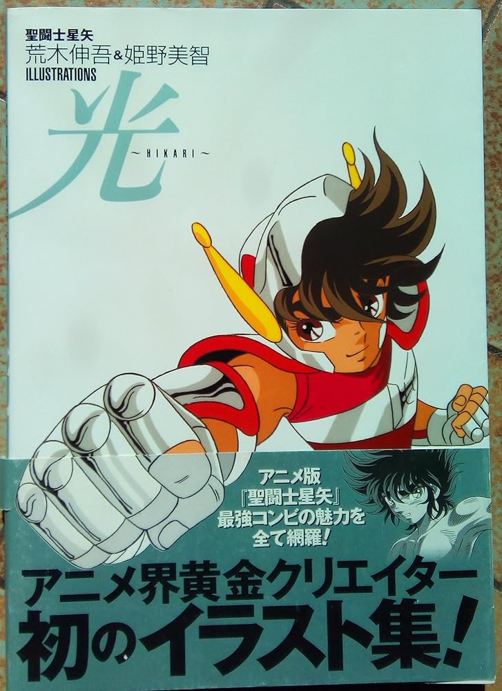 Saint Seiya Illustrations: Hikari (in Japanese) cover image