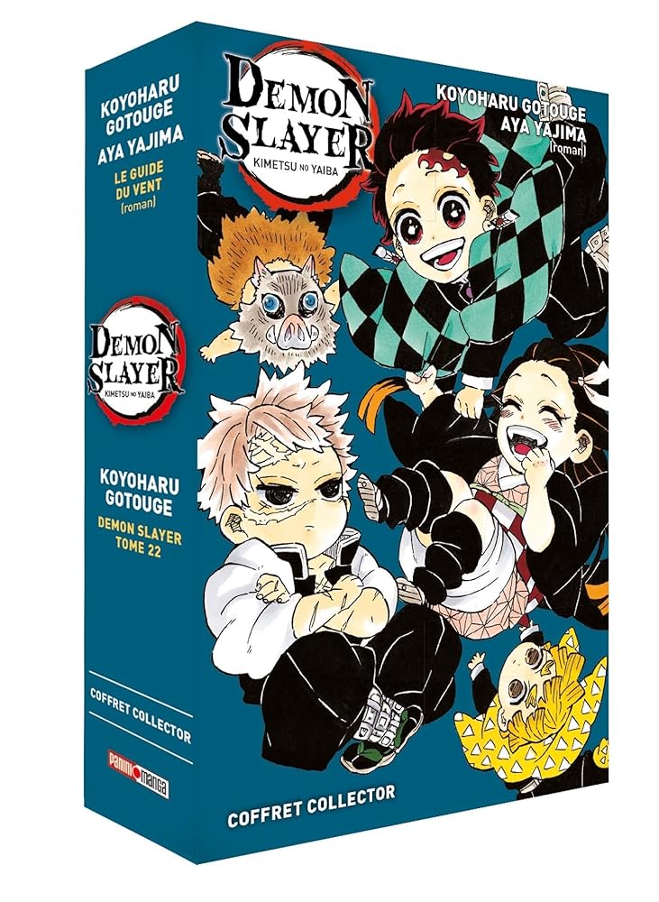 Coffret Demon Slayer T22/Roman N°03 cover image
