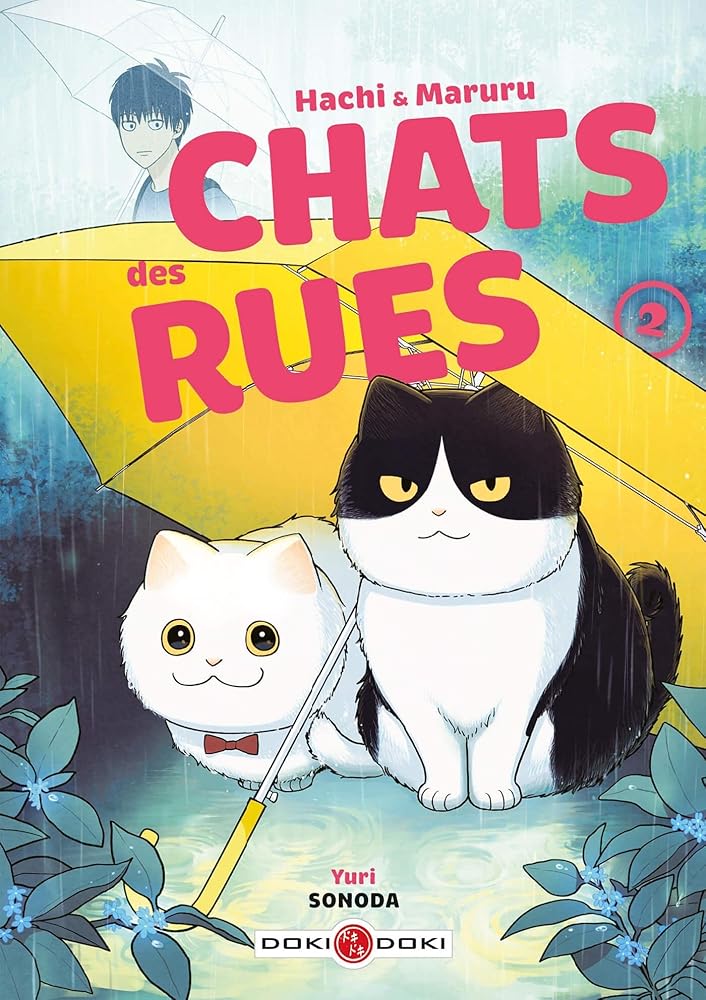 Hachi & Maruru - Chats des rues - vol. 02 cover image