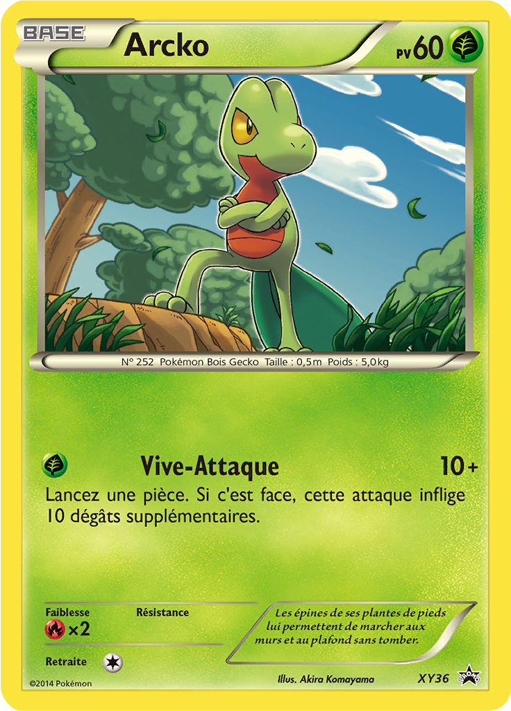 Arcko XY36, carte Promo XY, en vente à Manga Cash à Ans, province de Liège.