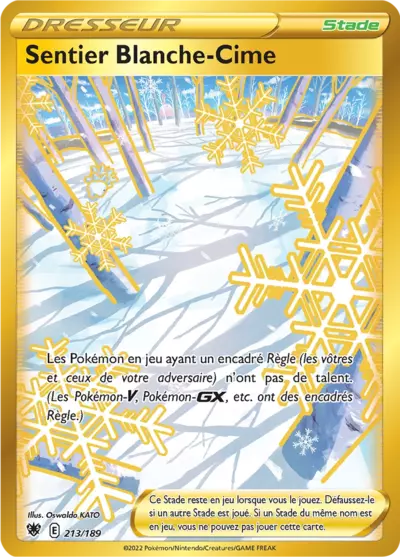 Carte Pokémon Sentier Blanche-Cime 213/189 Astres Radieux ASR – vente à l’unité au prix Cardmarket – Manga Cash Ans (Liège)