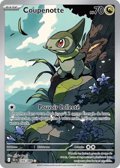 Retrouvez Coupenotte 145/086 – Foudre Noire chez Manga Cash Ans (Liège).