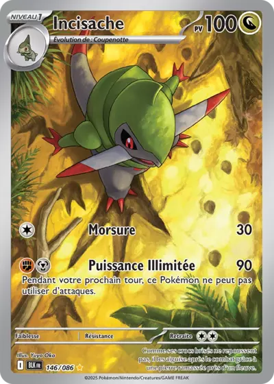 Retrouvez Incisache 146/086 – Foudre Noire chez Manga Cash Ans (Liège).