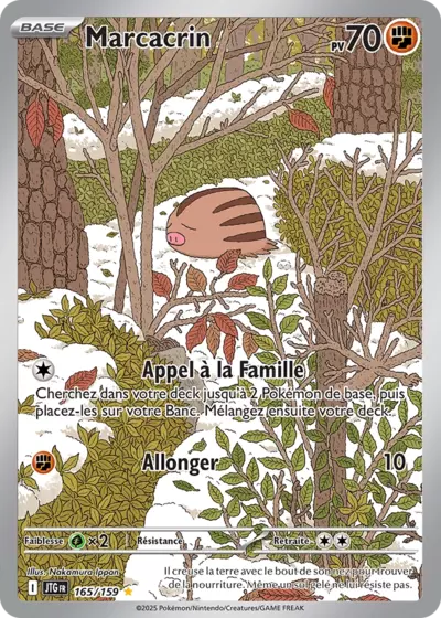 Retrouvez Marcacrin 165/159 – Aventures Ensemble chez Manga Cash Ans (Liège).