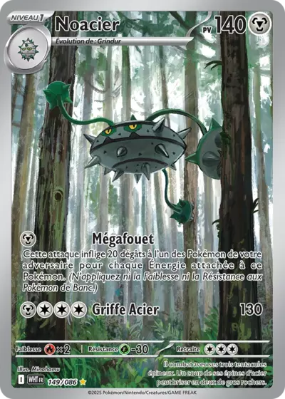 Retrouvez Noacier 149/086 – Flamme Blanche chez Manga Cash Ans (Liège).