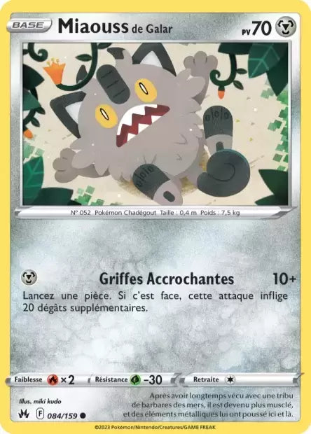 084/159 : Miaouss de Galar - Zénith Suprême - CRZ
